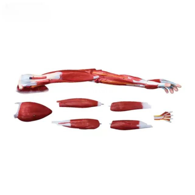 b2-01-29-576 1 (2).webp