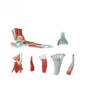 b2-01-29-578 1 (2).webp