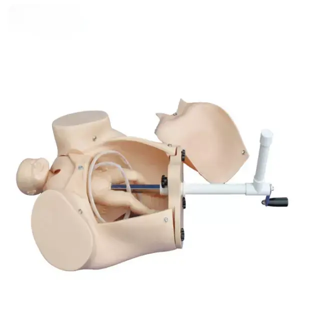 b2-01-29-588.1 (2).webp