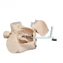 b2-01-29-588.1 (2).webp