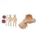 b2-01-29-588.2 (2).webp