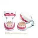 b2-01-29-589.1 (2).webp