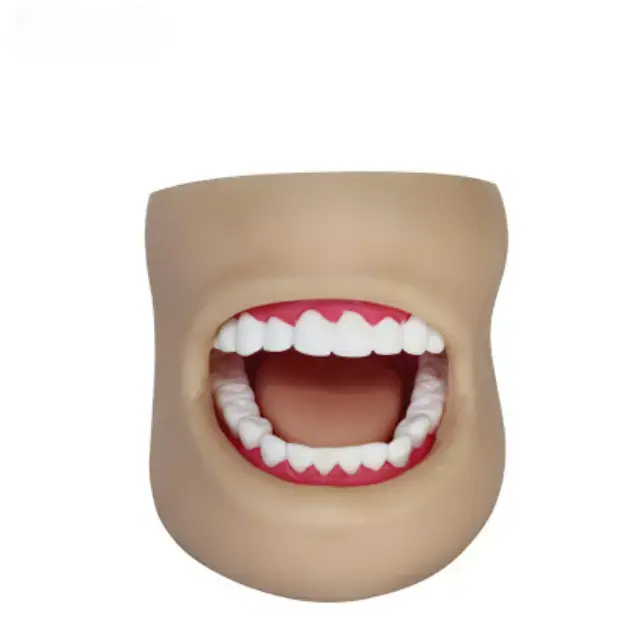 b2-01-29-589.2 (2).webp