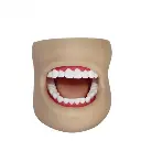 b2-01-29-589.2 (2).webp