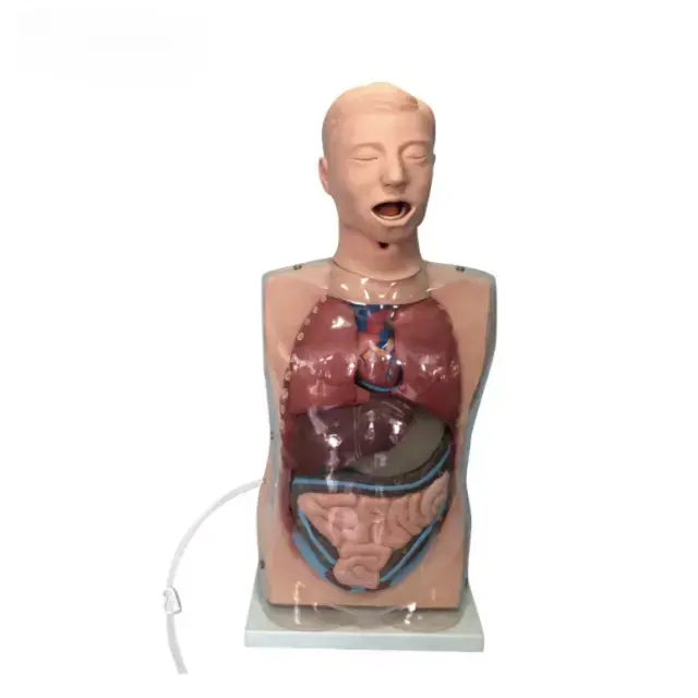 b2-01-29-591.1 (2).webp