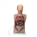 b2-01-29-591.1 (2).webp