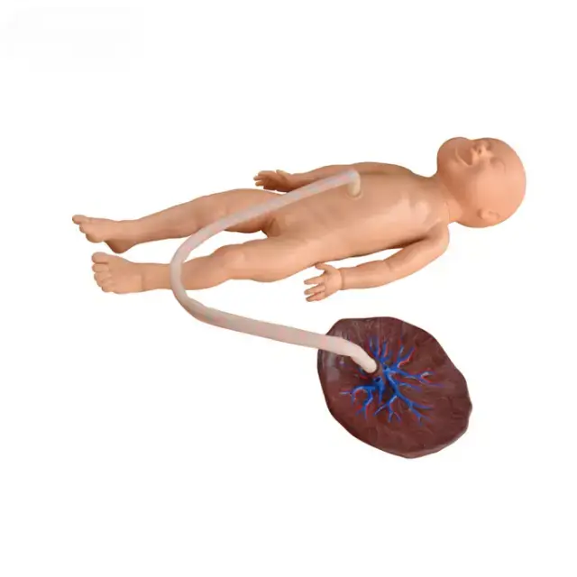 b2-01-29-599.5 (2).webp