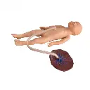 b2-01-29-599.5 (2).webp