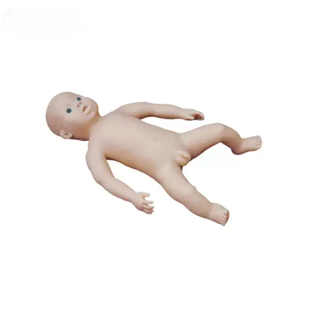 b2-01-29-599.3 (2).webp