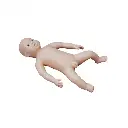 b2-01-29-599.3 (2).webp