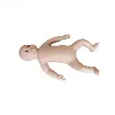 b2-01-29-599.4 (2).webp