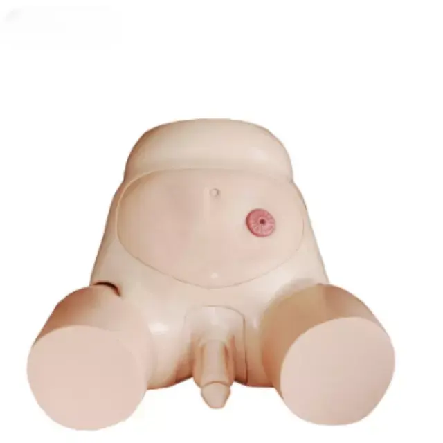 b2-01-29-598.3 (2).webp