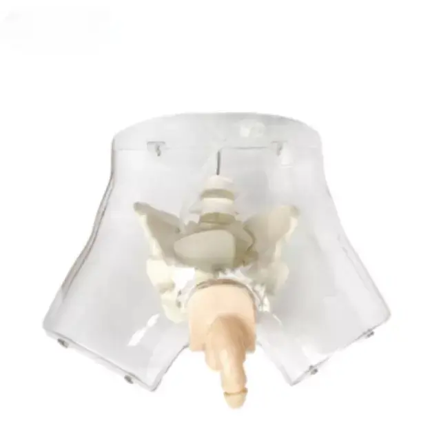 b2-01-29-598.1 (2).webp