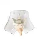 b2-01-29-598.1 (2).webp