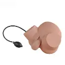 b2-01-29-612.1 (2).webp