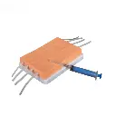 b2-01-29-626.1 (2).webp