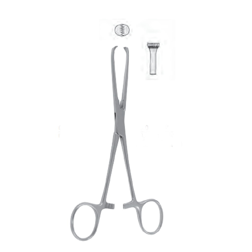 Pinza de tejido allis de 6 ' acero inox 410 doble proteccion