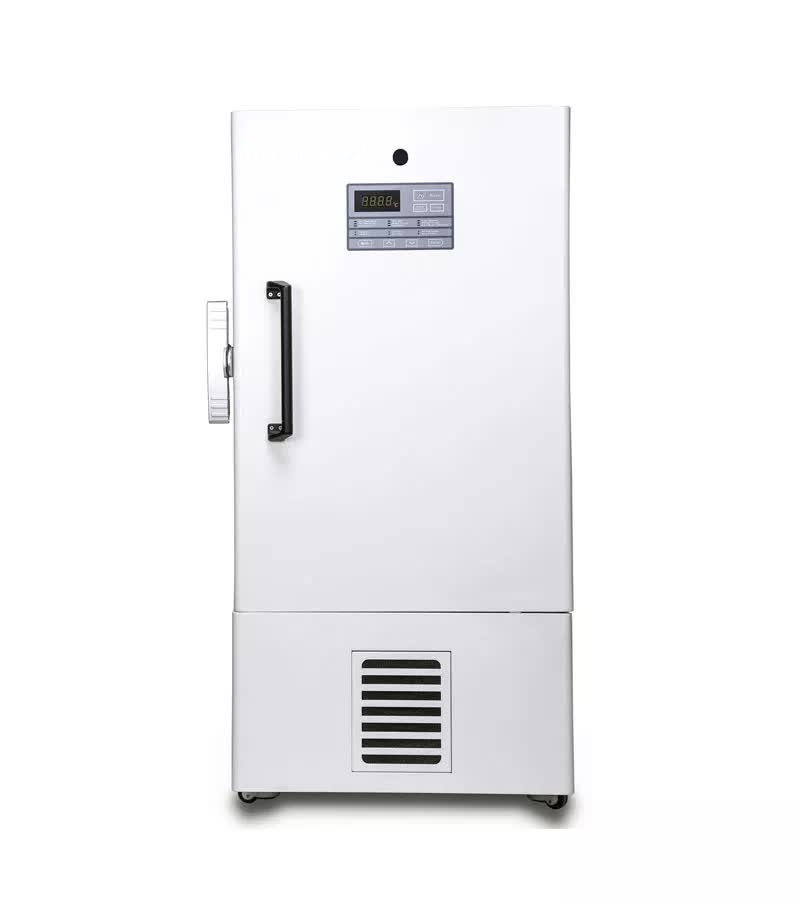 Congelador de ultra baja temperatura -86 °C (588 L)