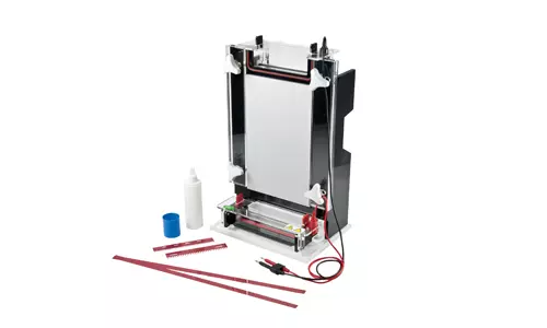 Nucleic Acid Sequencing