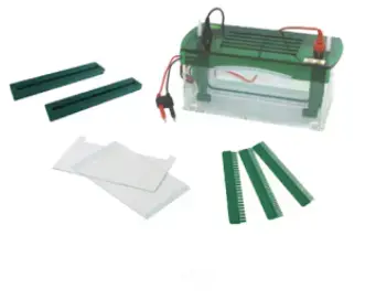 Sistema de electroforesis vertical Rapid SSR