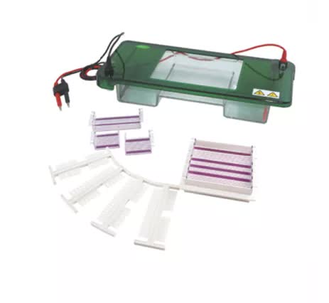 Célula de electroforesis horizontal