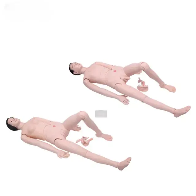 b2-01-29-581 · Maniqui de entrenamiento de enfermeria (masculino, femenino)