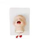 Entrenamiento de intubacion para recien nacidos