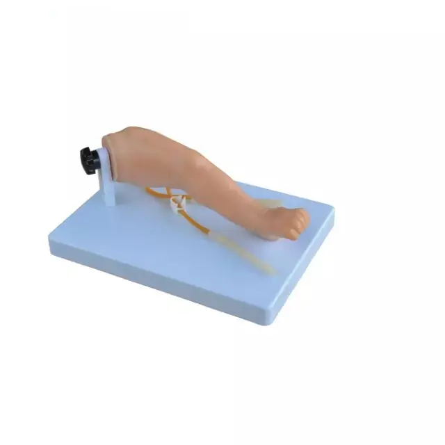 Pierna de puncion venosa infantil avanzada