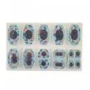 Meiosis 10 partes 9 partes