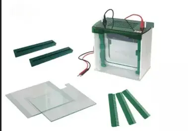 [b2-01-29-220] Camara de electroforesis vertical