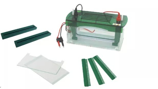 [b2-01-29-225] Tanque de electroforesis vertical