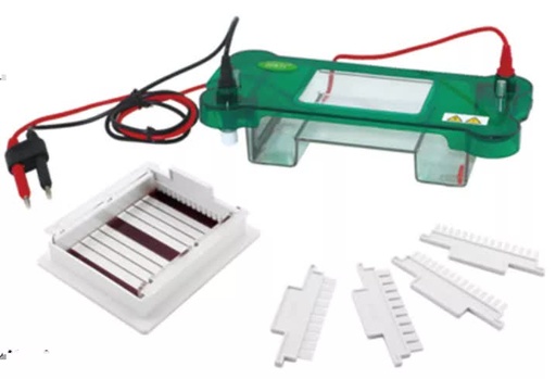 [b2-01-29-230] Electroforesis horizontal