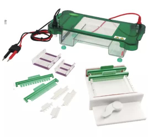 [b2-01-29-235] Electroforesis horizontal
