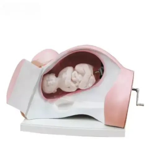 [b2-01-29-588] Del curso de entrega