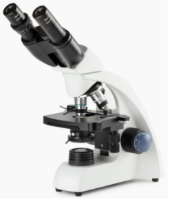 Microscopio Binocular